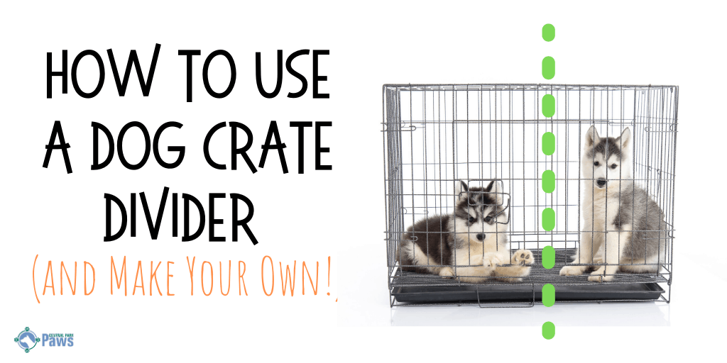 How to Use a Dog Crate Divider and Make Your Own