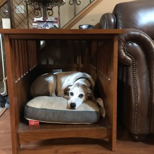 Why choose end table style dog crate furniture for indoor dog beds