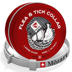2024 s 10 Best Chemical Natural Flea Tick Collars For Dogs