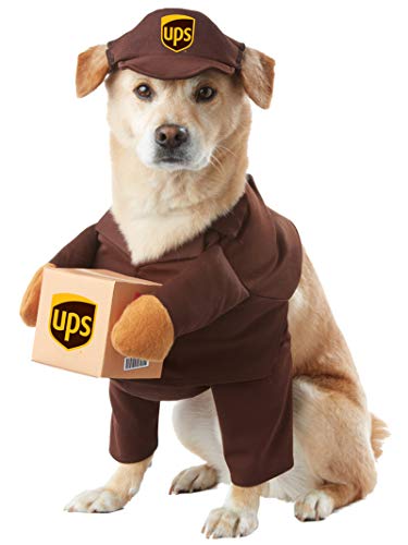 Online shipping best rates fastest choices UPS dog costume