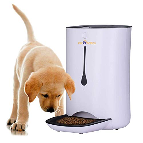 Why use automatic feeder for senior dog diets