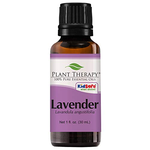 Lavender oil to moisturize dry itchy rough dog skin
