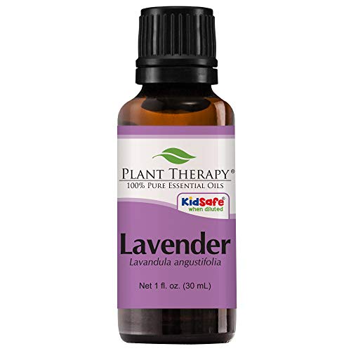 Plant therapy lavender essential oil uses canine dog pet health