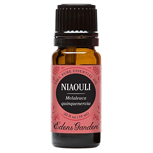 Using niaouli essential oil keep dog ears clean pros cons cautions