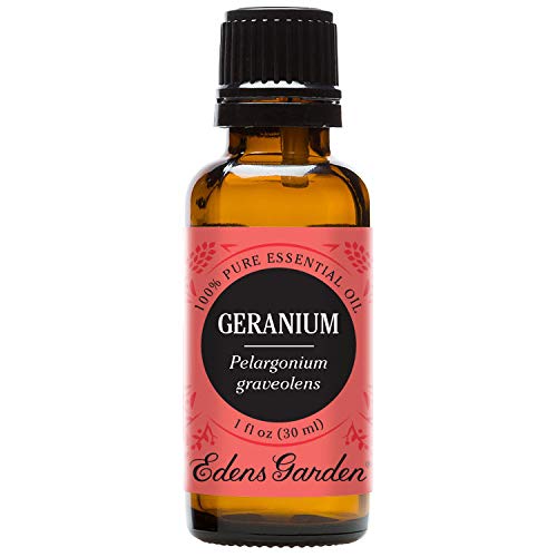 How to use geranium oil to fight dog ear infection dilute with carrier coconut oil