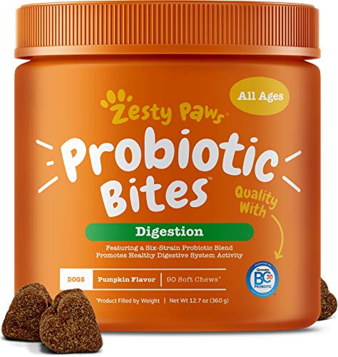 Zesty Paws Probiotic Bites treats for old senior dog digestive health