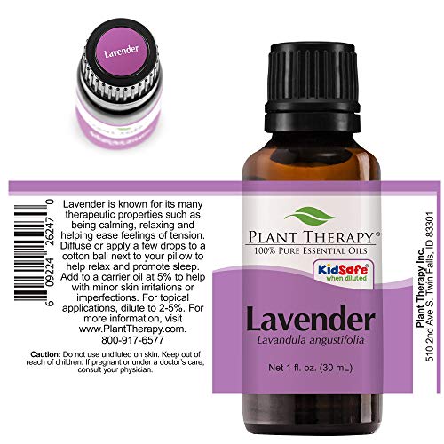essential oil dog allergies