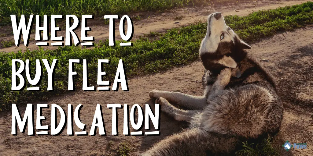 order flea treatment online