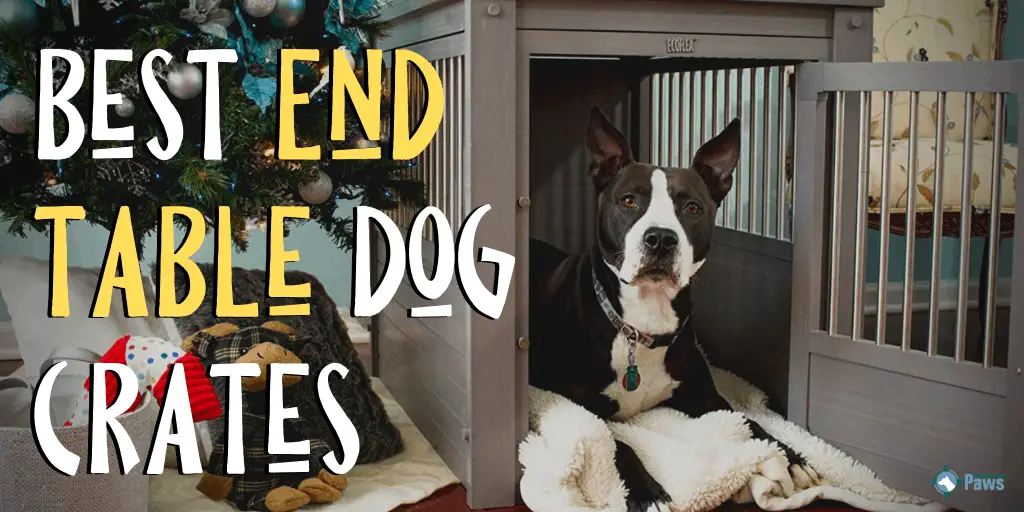 Best End Table Dog Crates - Furniture-Style Kennels That Look Good in Your House