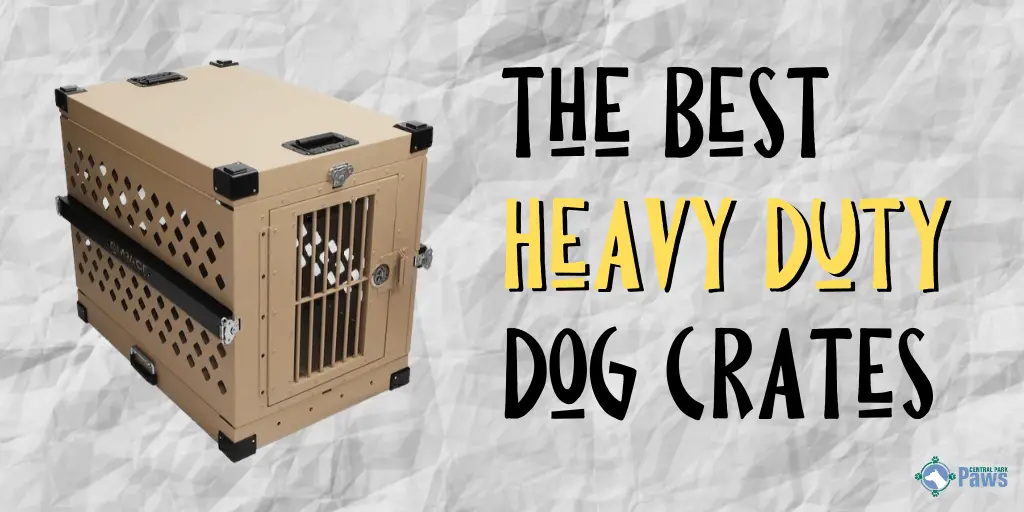 Best Heavy Duty Dog Crates