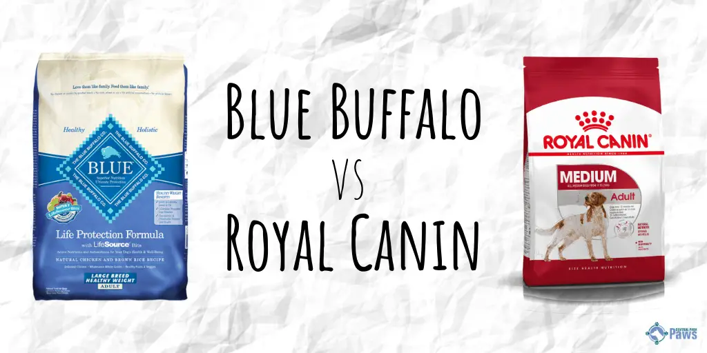 Royal Canin vs Blue Buffalo Dry Dog Food Review