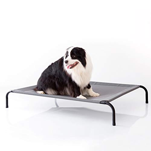 Raised dog bed cot helps keep long haired dogs cool circulates air