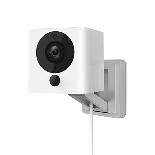 Wyze cam 1080p for watching puppy while away from home automatic systems