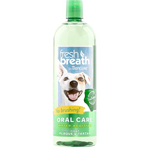 Dog mouthwash oral care water additive when cleaning toy to freshen breath