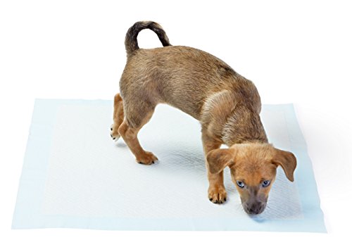 Puppy potty pads for dog crate kennel overnight pee puddle accident