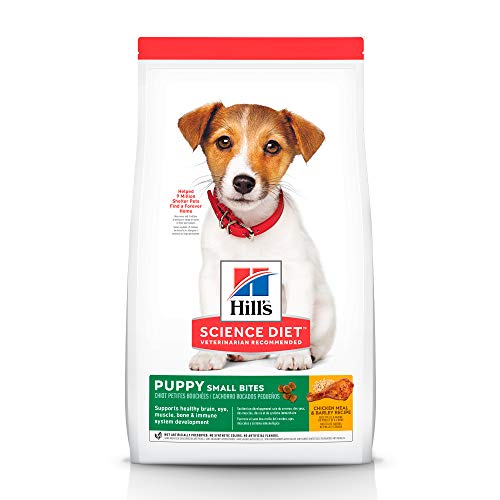 Hills Science Diet puppy small bites use with milk replacement for puppy mush