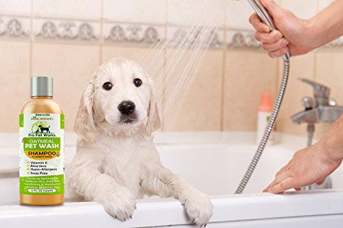 How to wash dog collar with pet wash shampoo instructions