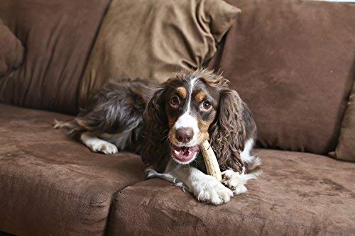 Antler chew toy for dogs training healthy behaviors