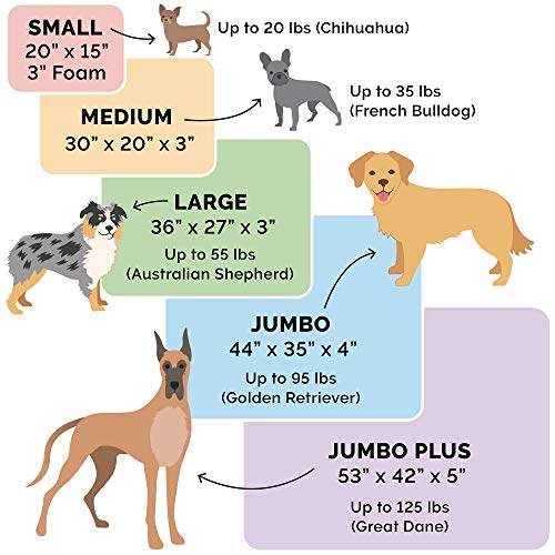 Dog breed bed size suggestions for proper sizing