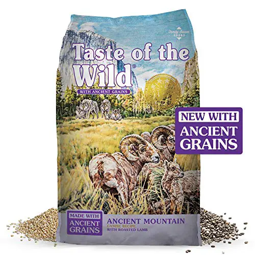 What's important when choosing a dog food ingredients availability price