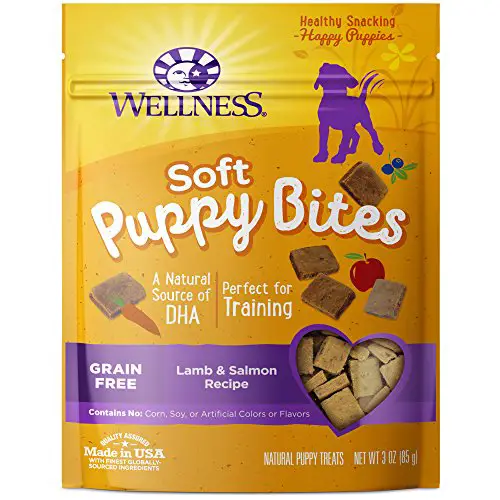 Puppy training treats day one start housetraining crate training