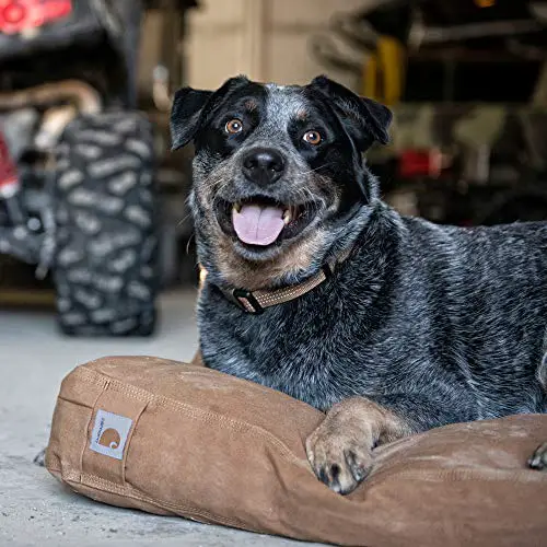 Carhartt durable indestructible dog bed for dogs who chew and dig