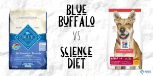 Blue Buffalo vs Science Diet Dry Dog Food Review