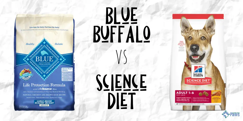 dog food comparable to hill's prescription diet