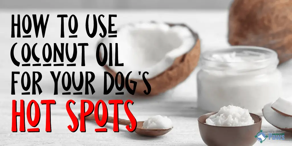 can you put coconut oil on dog hot spots