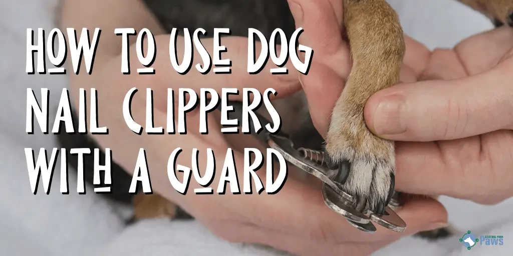 dog nail trimmer with guard