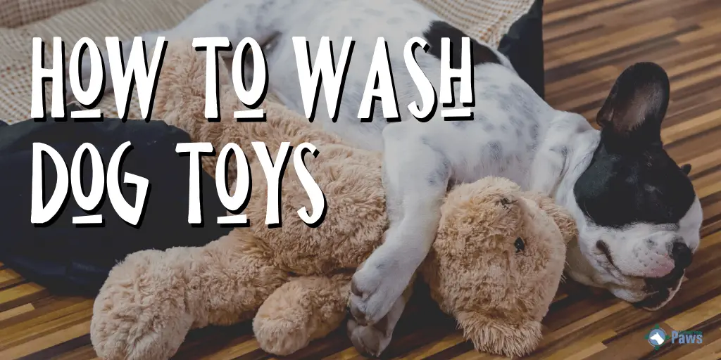 How to Wash Plush, Rubber, and Soft Dog Toys (1)