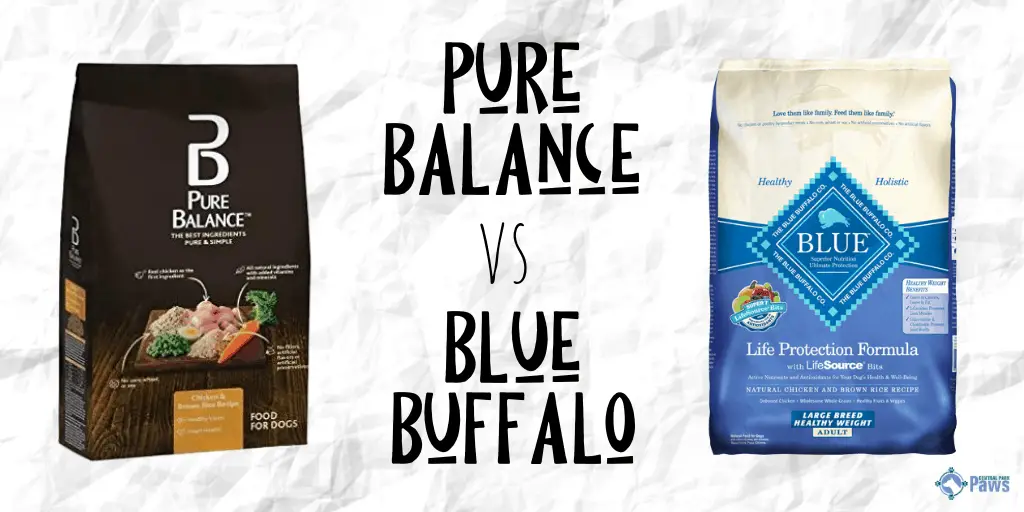 Pure Balance vs Blue Buffalo Dry Dog Food Review