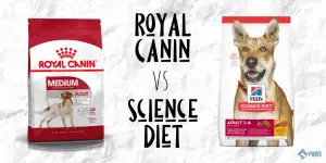 gentle giants dog food longevity claims