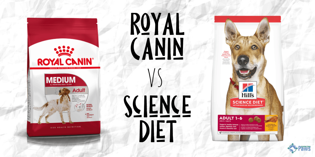 Royal Canin vs Hills Science Diet Dry Dog Food Review
