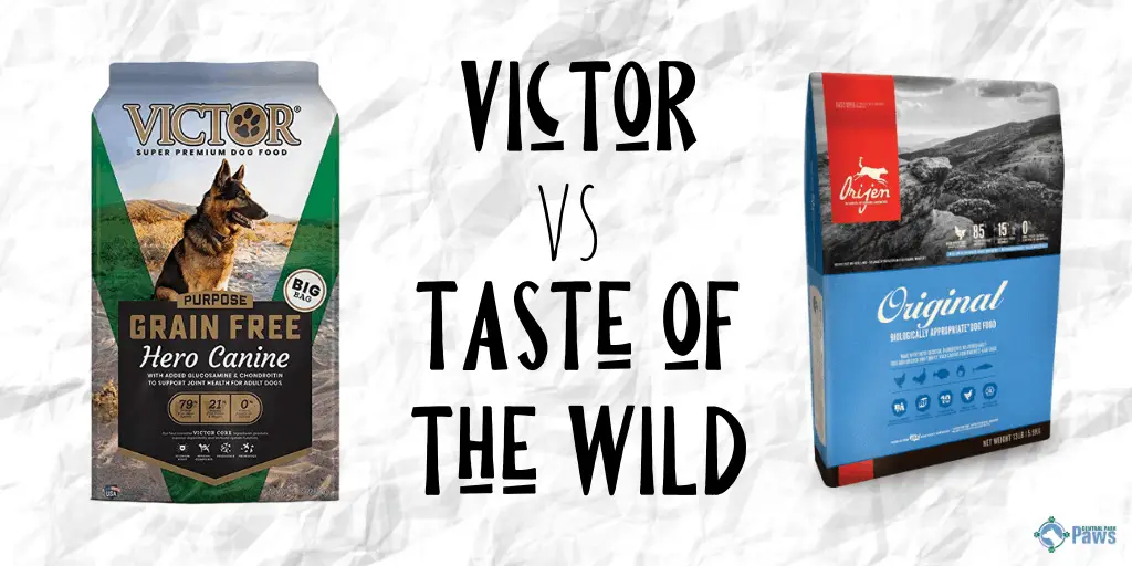 dog food comparable to taste of the wild