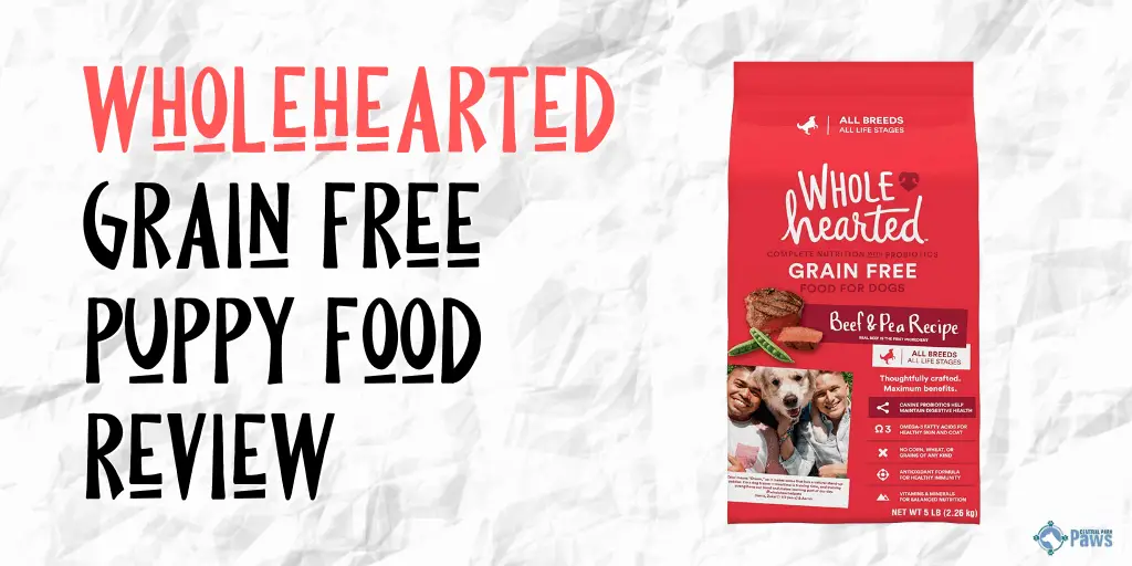 Wholehearted duck and lentil dog food reviews top