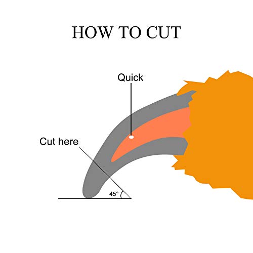 How to avoid quick in dog claws cut without bleeding