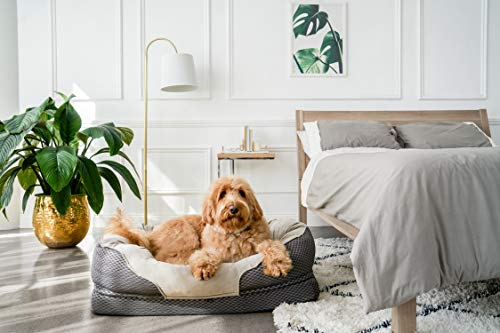 Best machine washable dog bed recommendations reviews suggestions