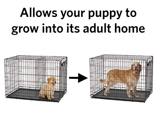 Crate size old young senior puppy dog divider