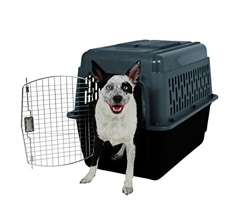 How to size dog crate for travel car plane boat