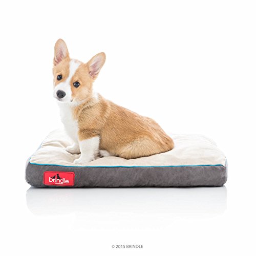 Brindle Soft Memory Foam Dog Bed review all around best choice