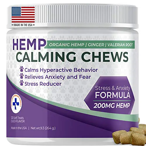Hemp calming chews for dog reduce anxiety stress of bathing in water