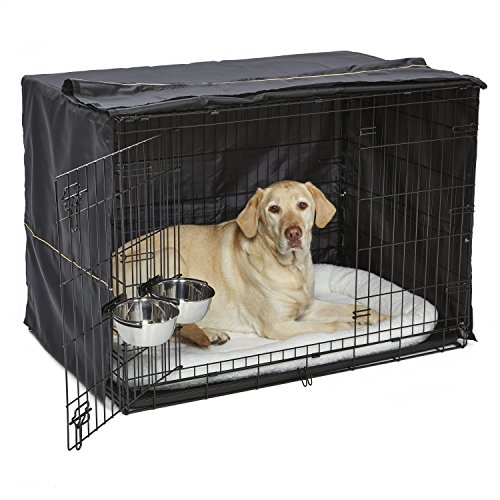 Long term dog crate size considerations larger for food water