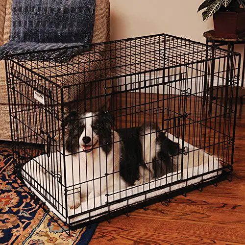 What to keep in mind when choosing your dog's crate size