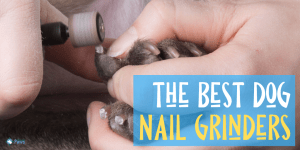 Best Dog Nail Grinders