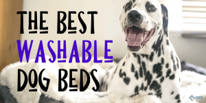 Best Washable Dog Beds with Removable Covers