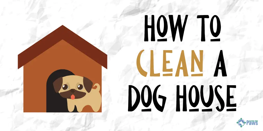 How to Clean a DogHouse