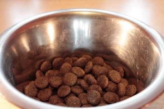 How to give your dog chicken broth add to dry dog food improve flavor
