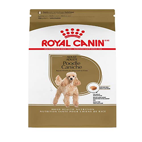 Dog food brand comparison Royal Canin vs Science Diet which is better for my dog