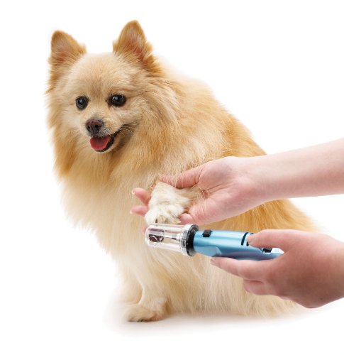 Is a pet nail grinder good for taking care of small large old dog claws